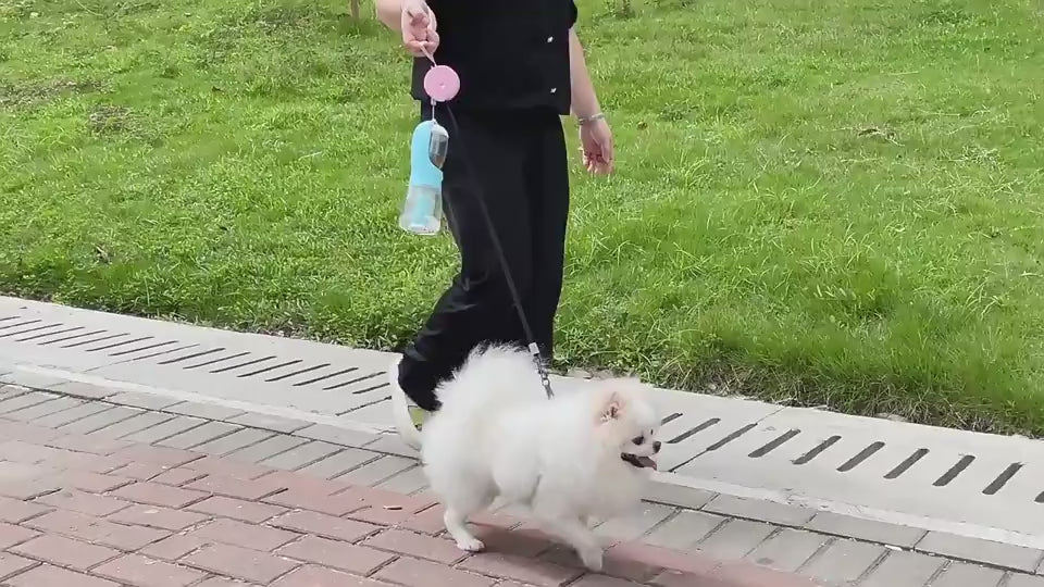 Load video: video